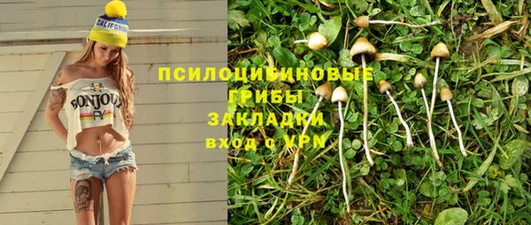 эйфоретик Яровое