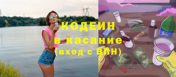 крисы Корсаков