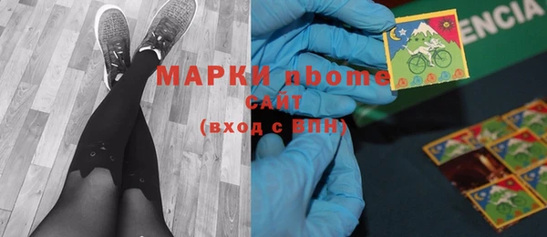 крисы Корсаков