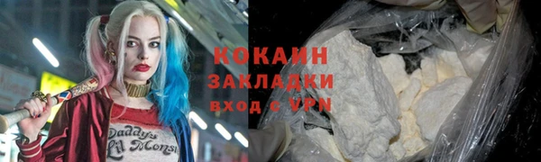 стафф Коряжма