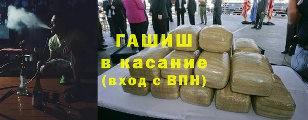крисы Корсаков