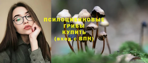 крисы Корсаков