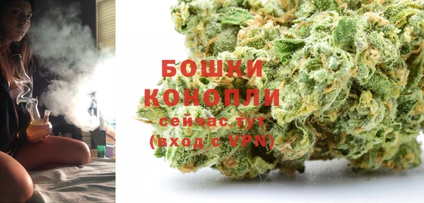 стафф Коряжма
