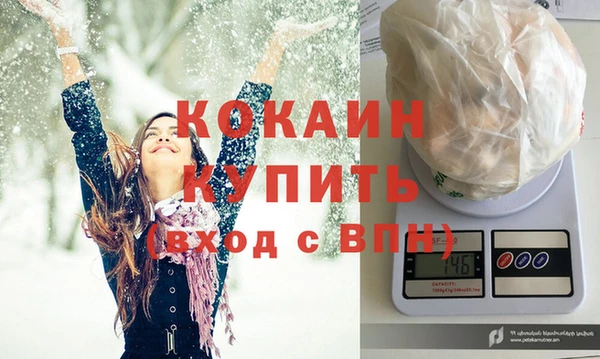 стафф Коряжма