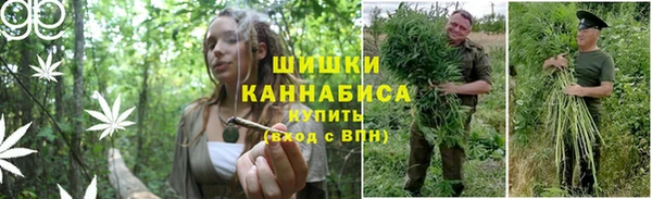 стафф Коряжма