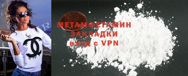 крисы Корсаков