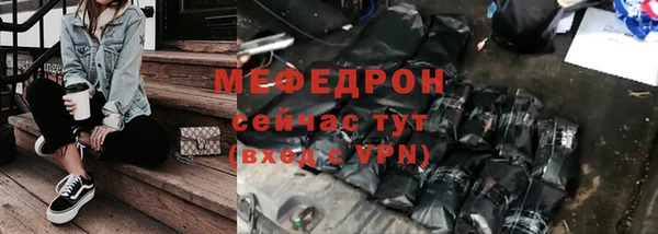 крисы Корсаков
