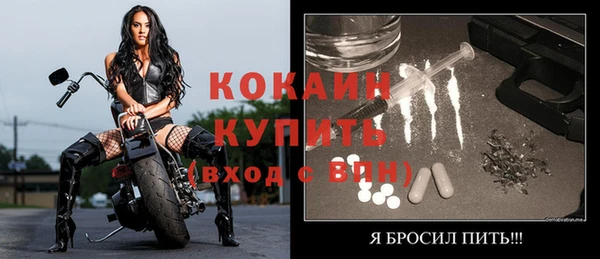 стафф Коряжма