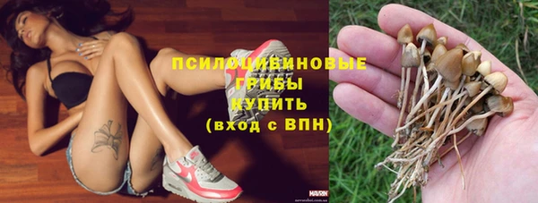 эйфоретик Яровое