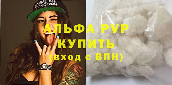 крисы Корсаков