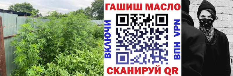 ТГК гашишное масло  Купить где  Кола 