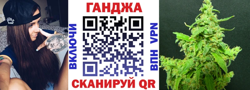 Конопля MAZAR  Купить где  Кола 